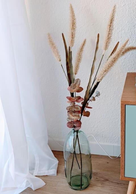 Le Lagon-magnifique T2 Climatise Apartment
